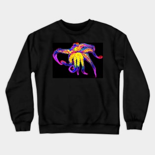 Mollusk Madness Crewneck Sweatshirt